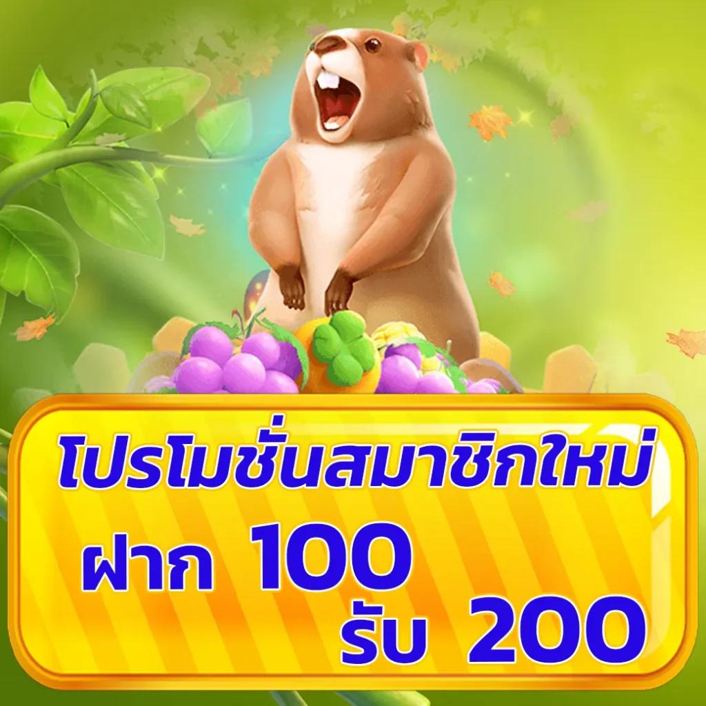 Chokdee777 Slot ฝากถอนรวดเร็ว พร้อมระบบทดลองเล่นฟรีภายในทันที